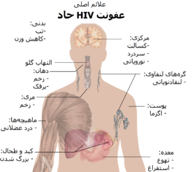 HIV چیست