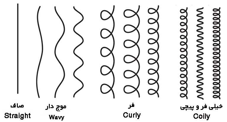 ساختار مو