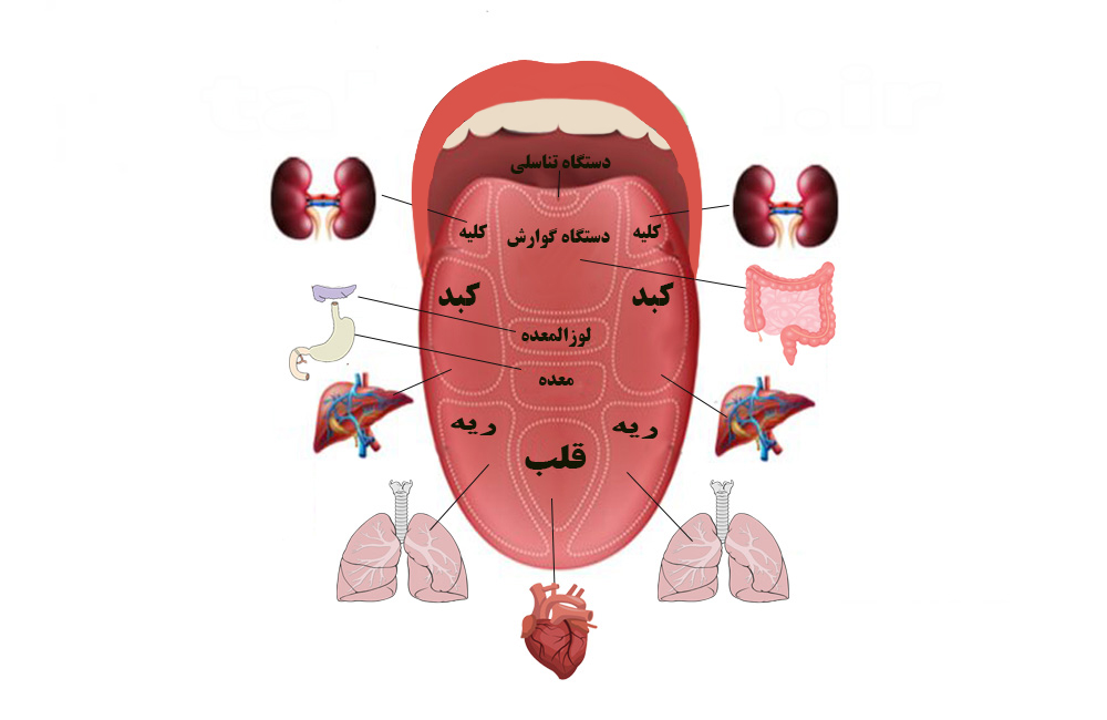تشخیص بیماری از روی زبان بدن