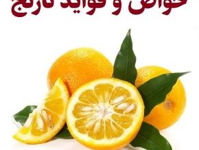 57019e40b93143831c6101b59cbdedf2 XL