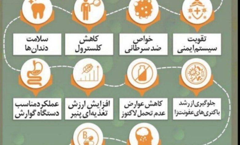 پروبیوتیکها