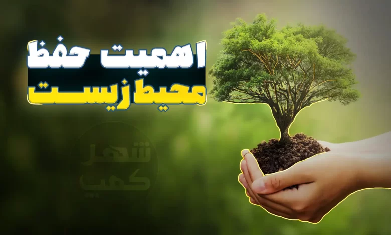محیط زیست