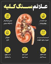 عفونت کلیه