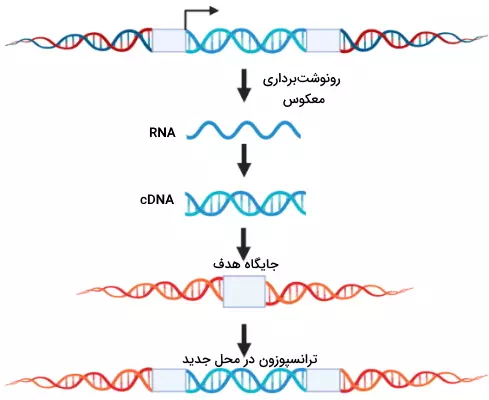 retrotransposons