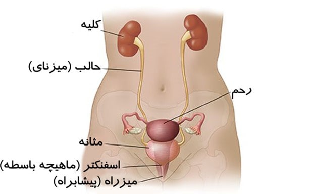عفونت کلیه