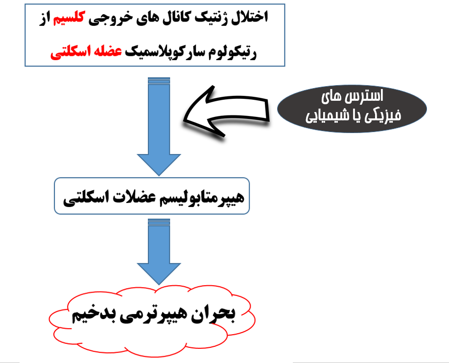 هیپرترمی