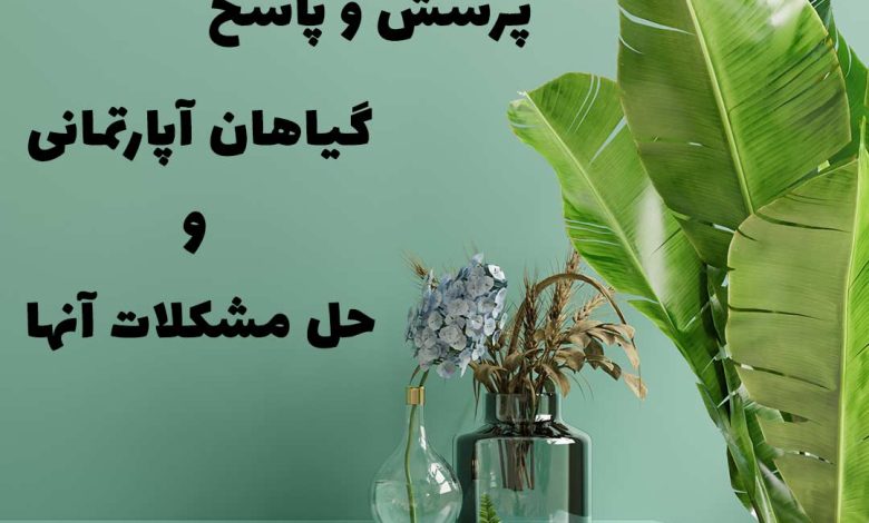 گلهای آپارتمانی