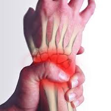 آناتومی مچ دست