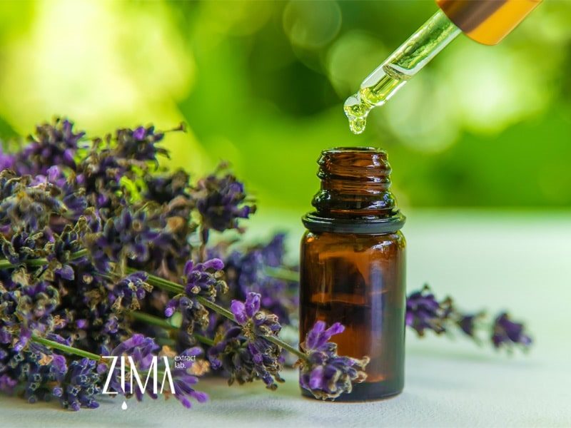 روغن اسطو خودوس