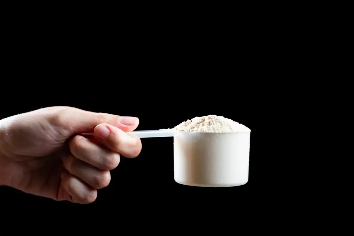 مصرف پروتئین