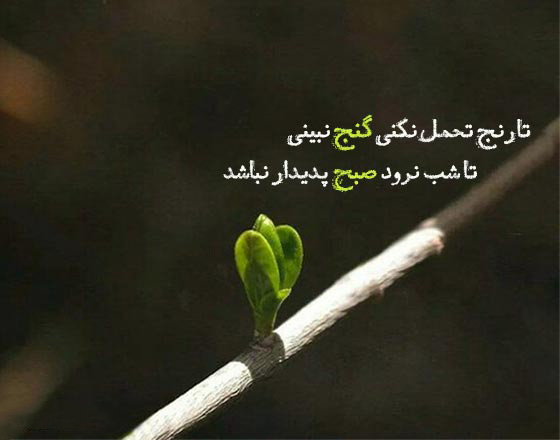 نقش صبر در موفقیت انسانی